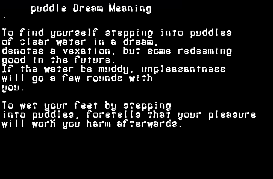 puddle dream meaning
