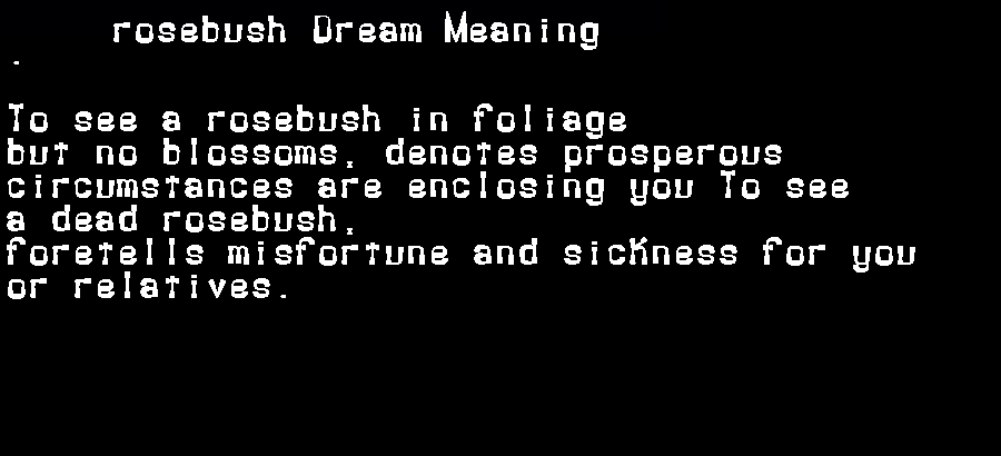 rosebush dream meaning